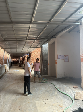 1698390829676397.jpg 1698390865877.jpg