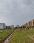 1701832577926154.jpg 1701832594281.jpg