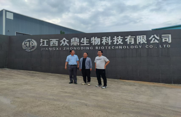 1734929268761528.jpg 1734929230208.jpg